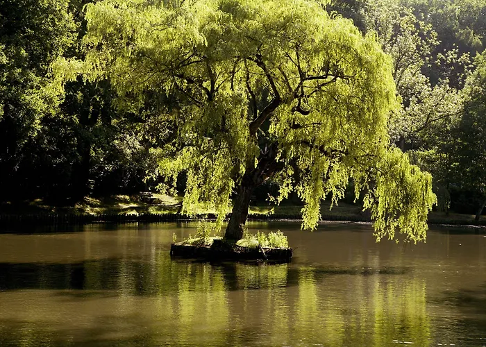Bilderberg De Bovenste Molen 4*