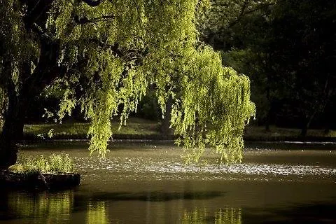 Bilderberg De Bovenste Molen Отель