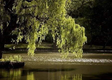 Bilderberg De Bovenste Molen Hotel